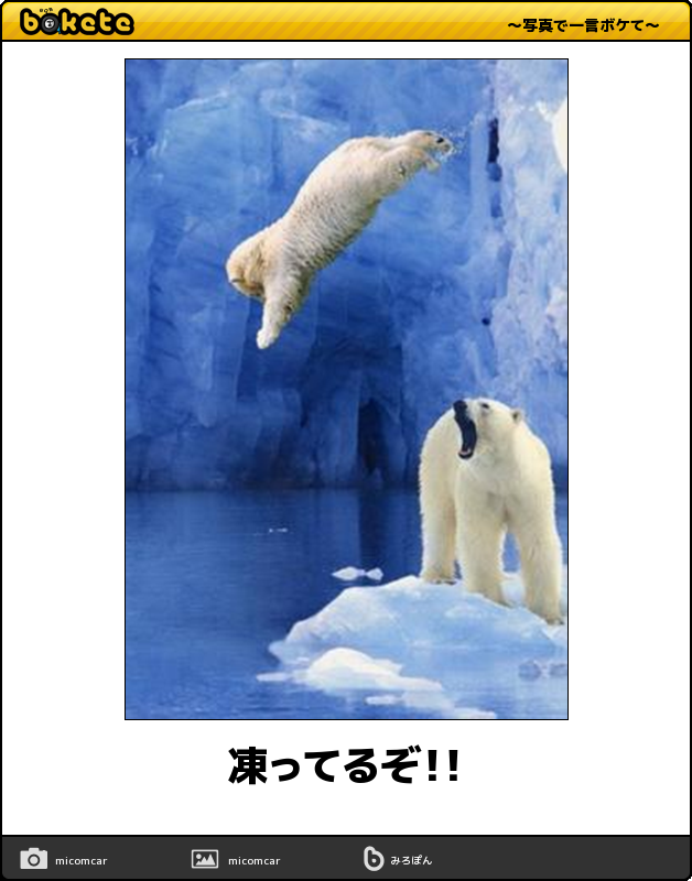 ボケて！で笑った動物編