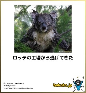 ボケて！で笑った動物編