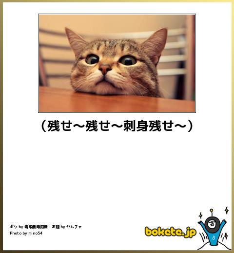 ボケて！で笑った動物編