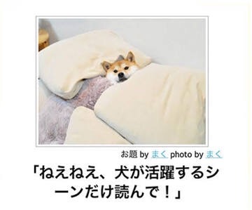 ボケて！で笑った動物編