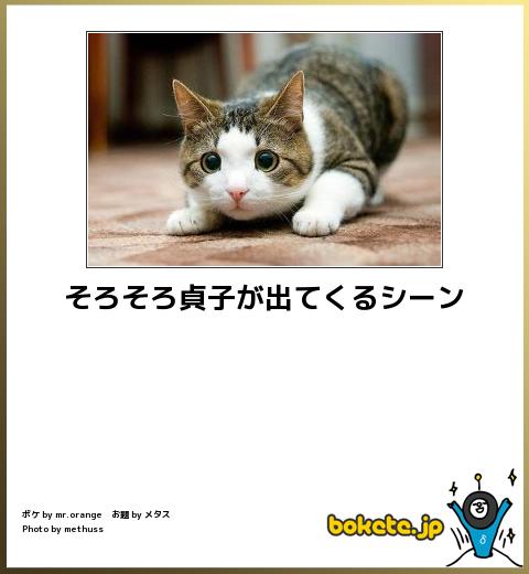 ボケて！で笑った動物編