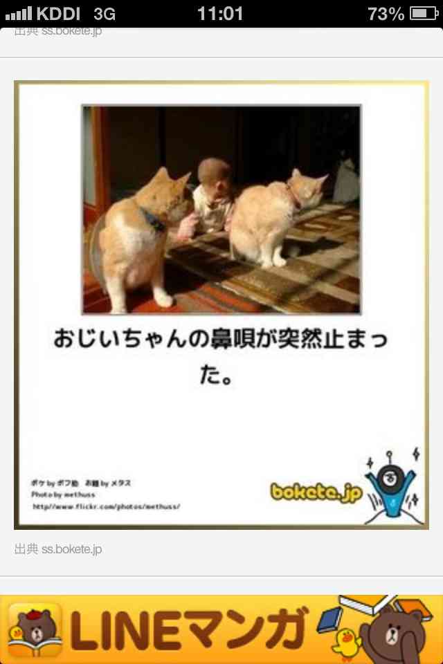 ボケて！で笑った動物編