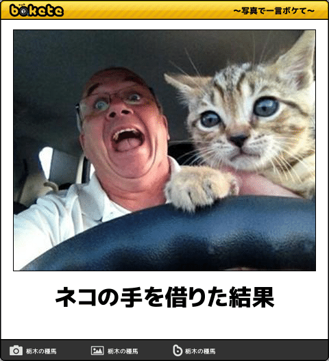 ボケて！で笑った動物編
