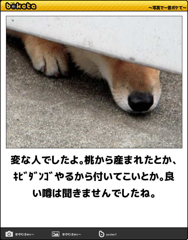 ボケて！で笑った動物編
