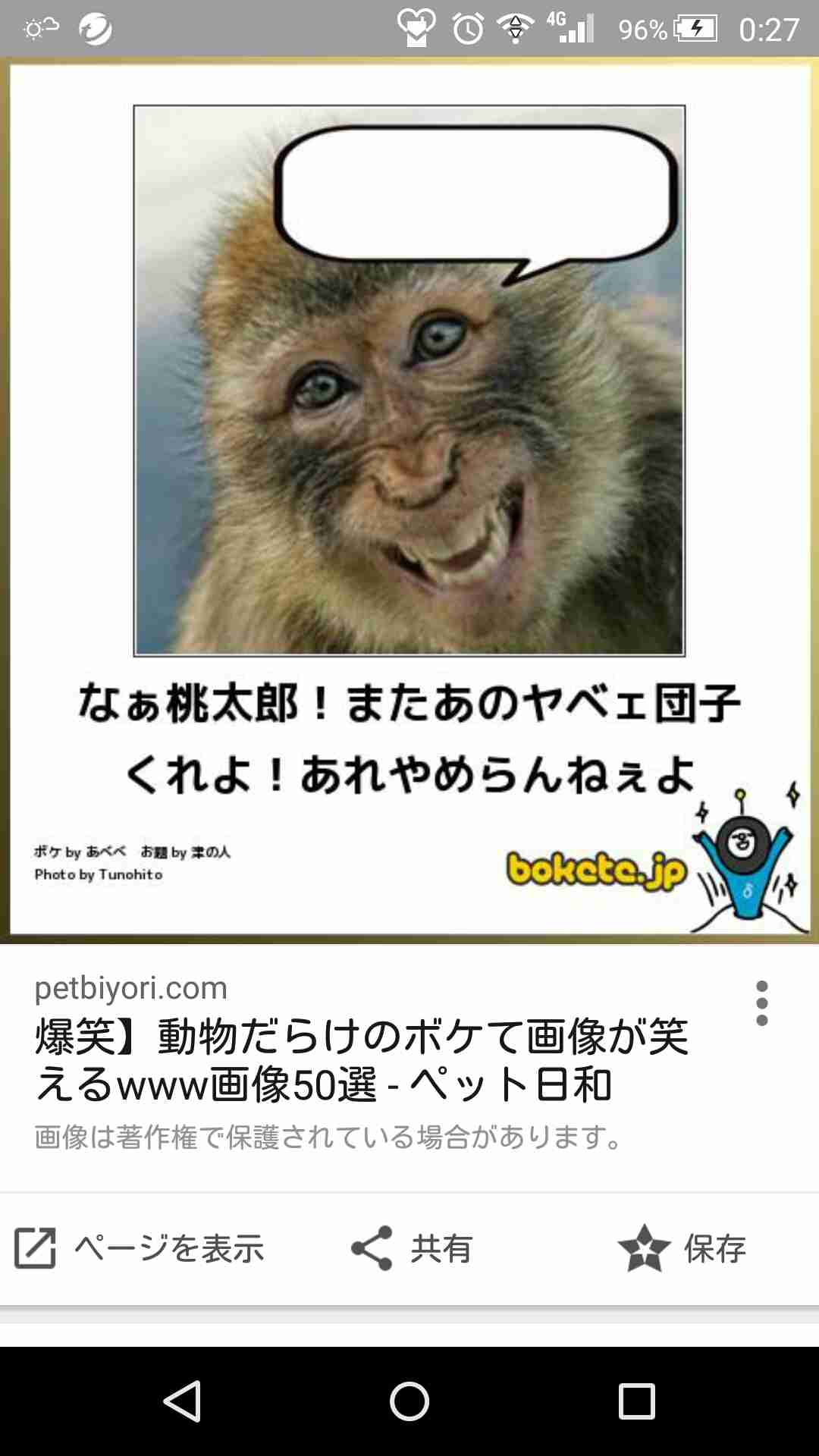 ボケて！で笑った動物編