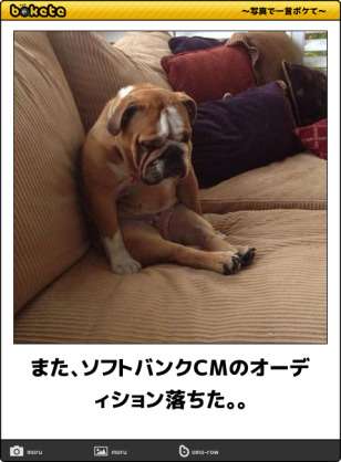ボケて！で笑った動物編