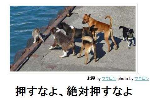 ボケて！で笑った動物編