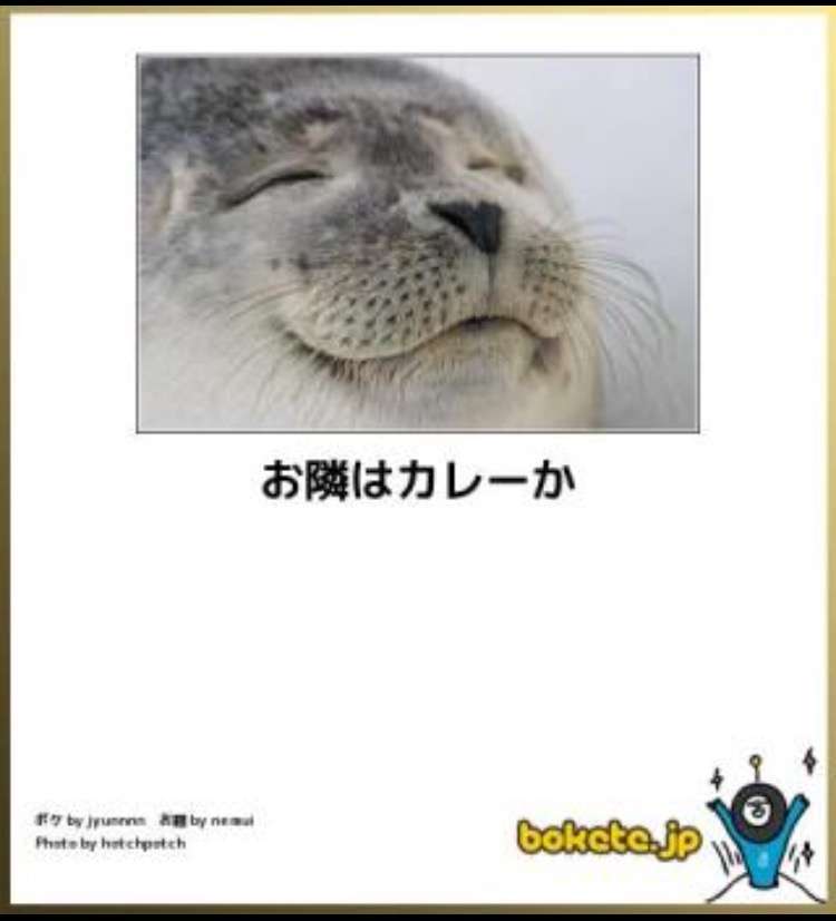 ボケて！で笑った動物編