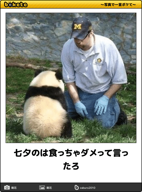 ボケて！で笑った動物編