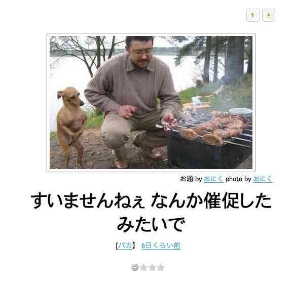 ボケて！で笑った動物編