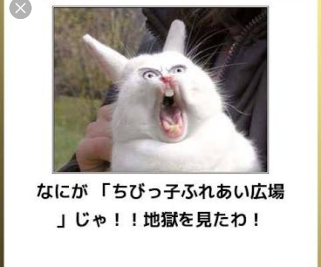 ボケて！で笑った動物編