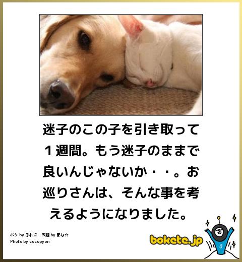 ボケて！で笑った動物編