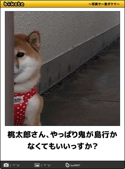 ボケて！で笑った動物編