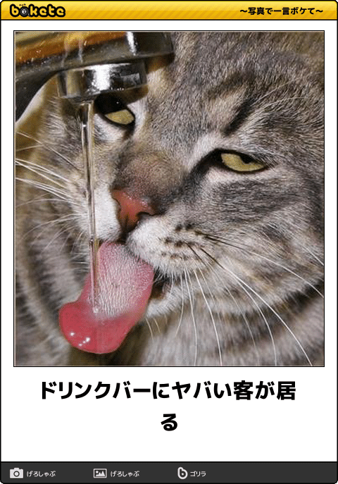 ボケて！で笑った動物編