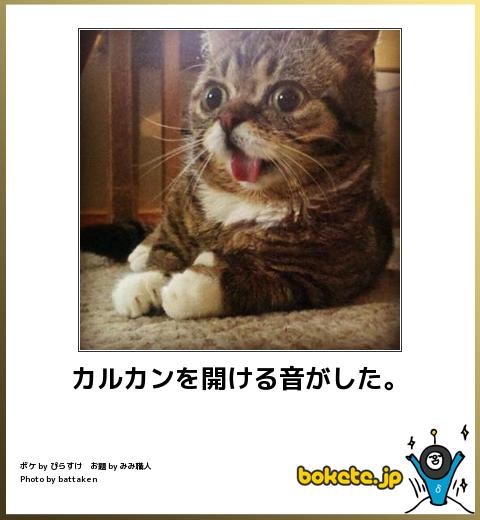 ボケて！で笑った動物編