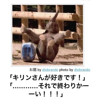 ボケて！で笑った動物編