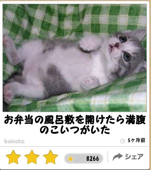 ボケて！で笑った動物編