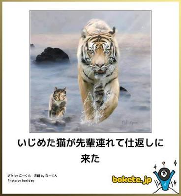 ボケて！で笑った動物編