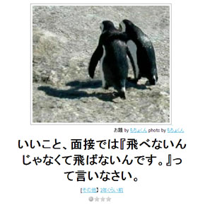 ボケて！で笑った動物編
