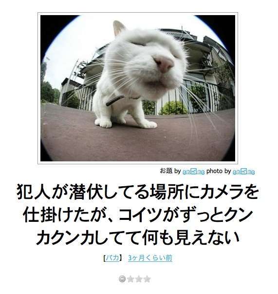 ボケて！で笑った動物編