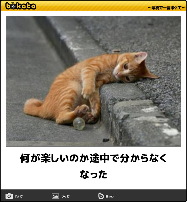 ボケて！で笑った動物編