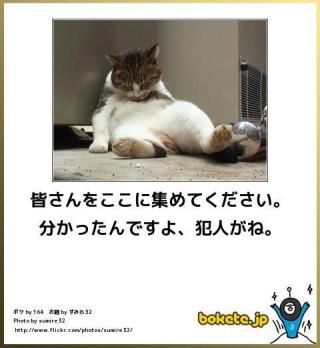 ボケて！で笑った動物編