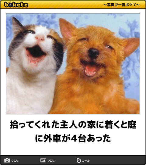 ボケて！で笑った動物編