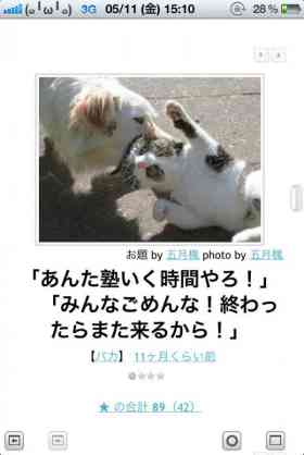 ボケて！で笑った動物編