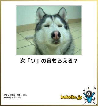 ボケて！で笑った動物編