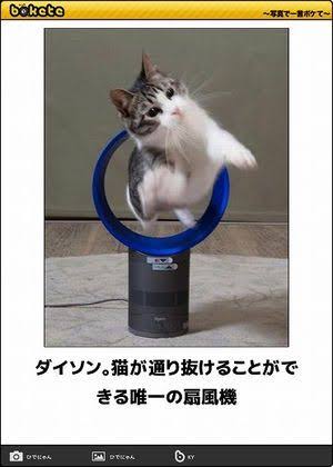 ボケて！で笑った動物編