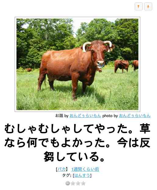 ボケて！で笑った動物編