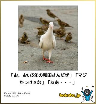 ボケて！で笑った動物編