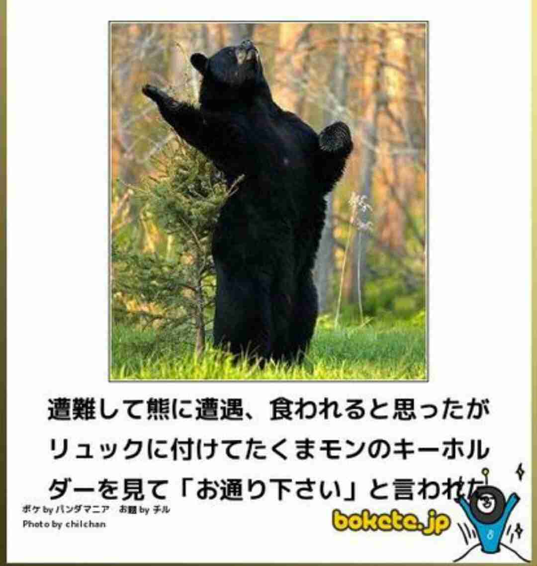 ボケて！で笑った動物編