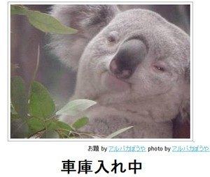 ボケて！で笑った動物編