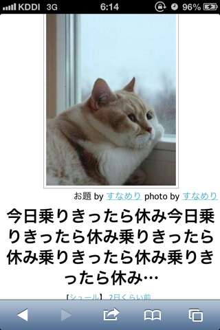 ボケて！で笑った動物編
