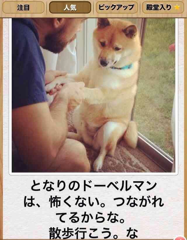 ボケて！で笑った動物編
