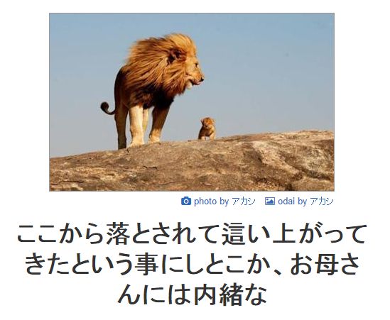 ボケて！で笑った動物編