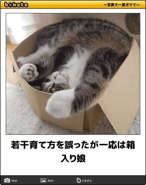 ボケて！で笑った動物編