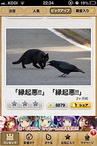 ボケて！で笑った動物編