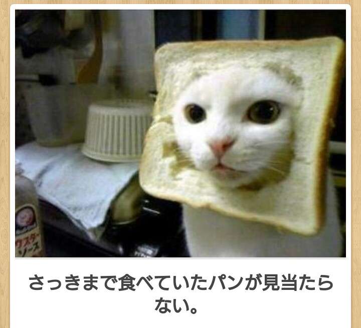 ボケて！で笑った動物編