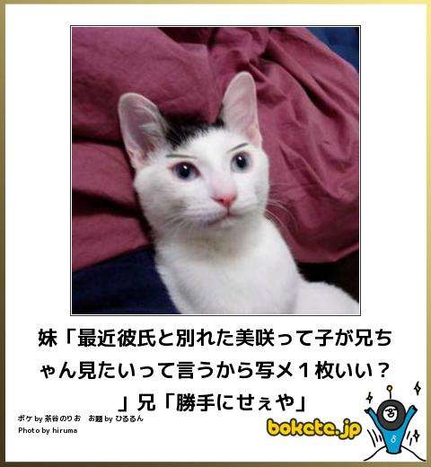 ボケて！で笑った動物編