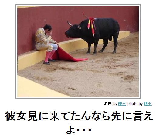 ボケて！で笑った動物編