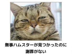ボケて！で笑った動物編
