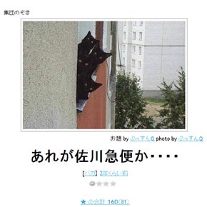 ボケて！で笑った動物編