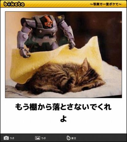 ボケて！で笑った動物編