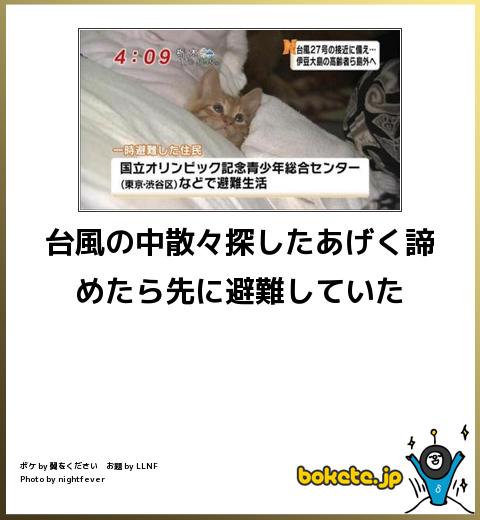 ボケて！で笑った動物編