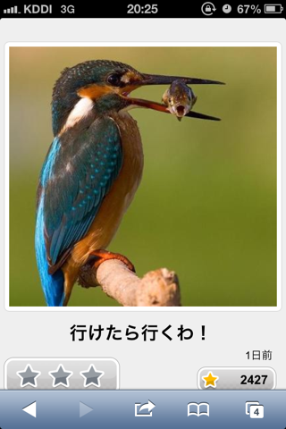 ボケて！で笑った動物編