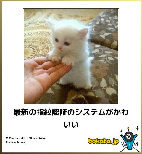 ボケて！で笑った動物編
