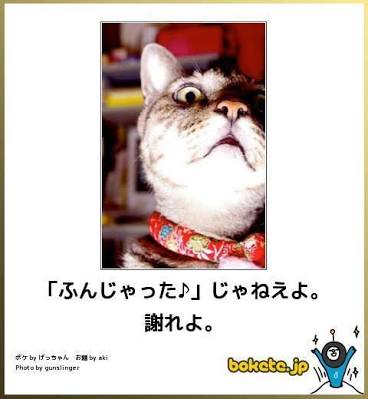 ボケて！で笑った動物編