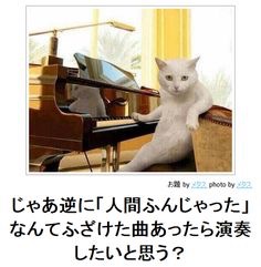 ボケて！で笑った動物編